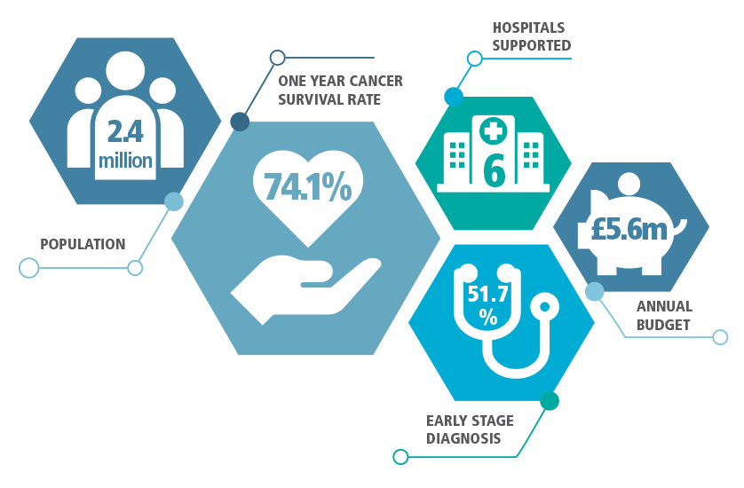 infographic image