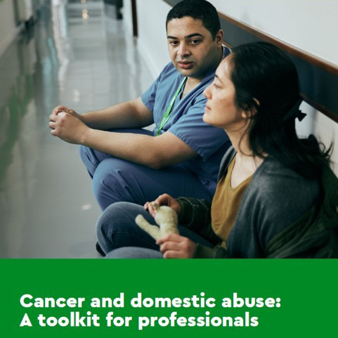 Domestic-violence-toolkit